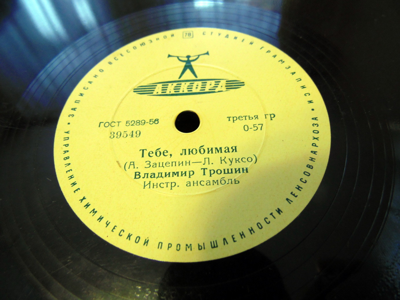 Владимир Трошин - Тебе, любимая / Парнишка