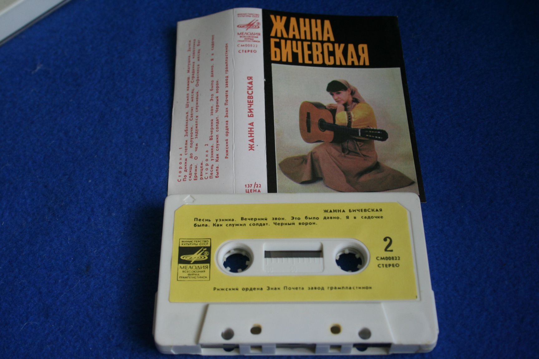 Жанна БИЧЕВСКАЯ