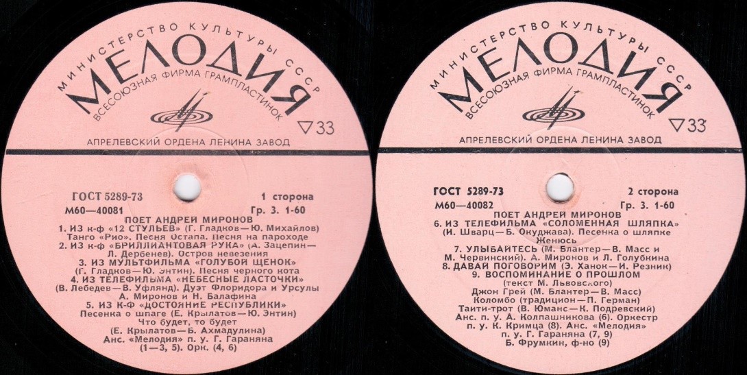 Поет Андрей Миронов