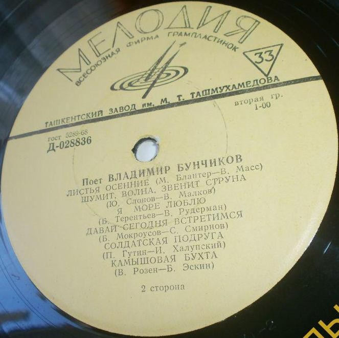 Поет Владимир БУНЧИКОВ