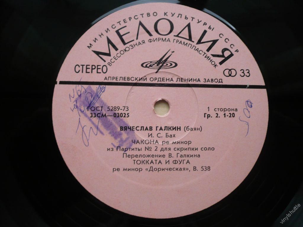 Вячеслав Галкин (баян)
