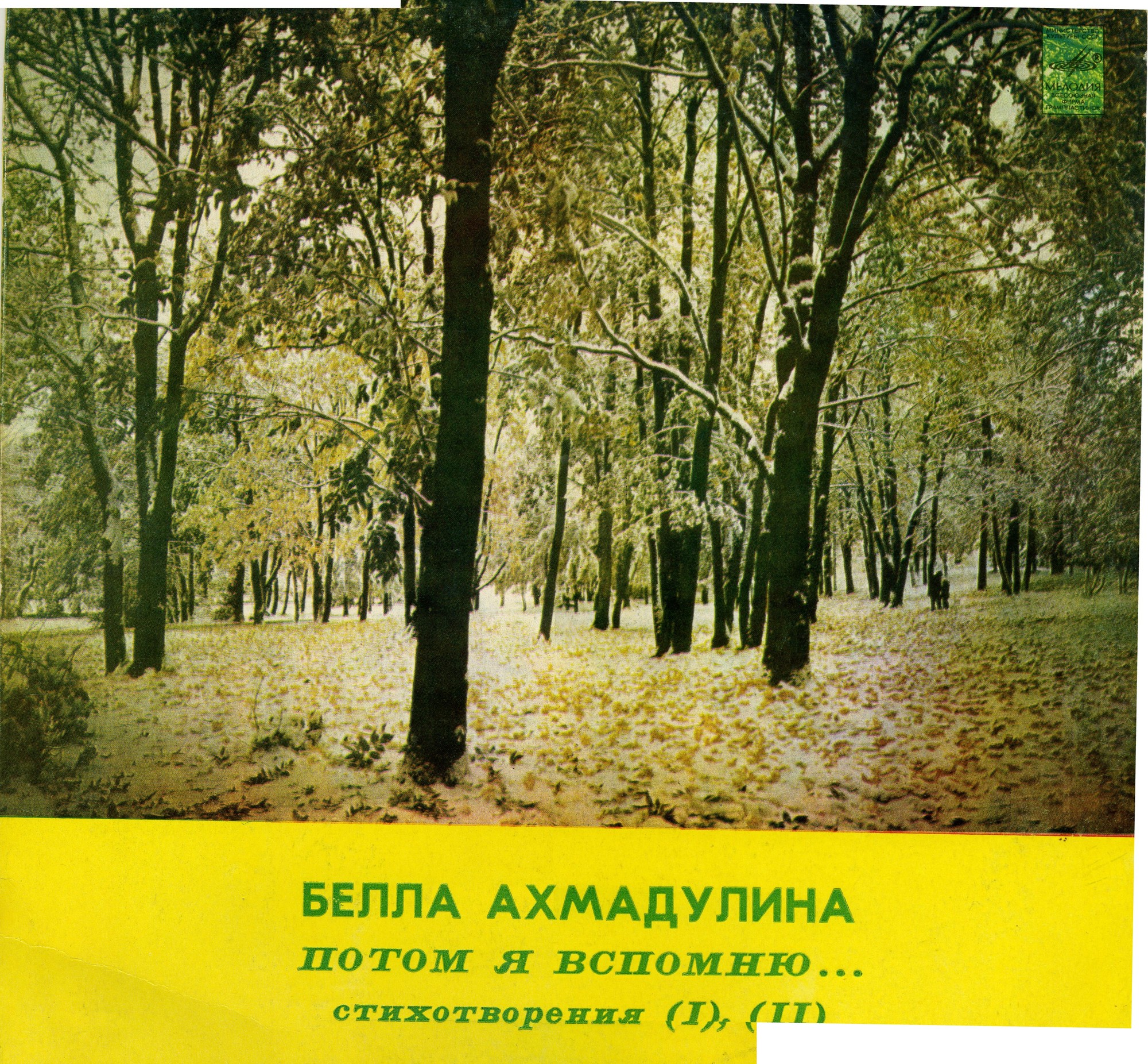 Белла Ахмадулина - Потом я вспомню... (стихотворения читает автор)