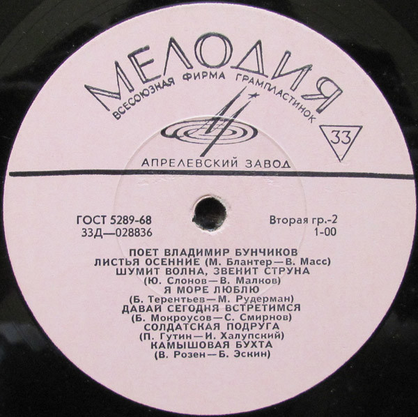 Поет Владимир БУНЧИКОВ