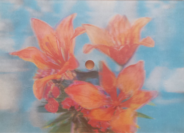 ОРБИТА. Ритмы-20 (Золотая лестница)