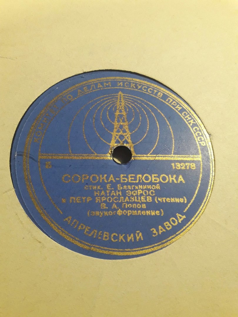 Сорока-белобока