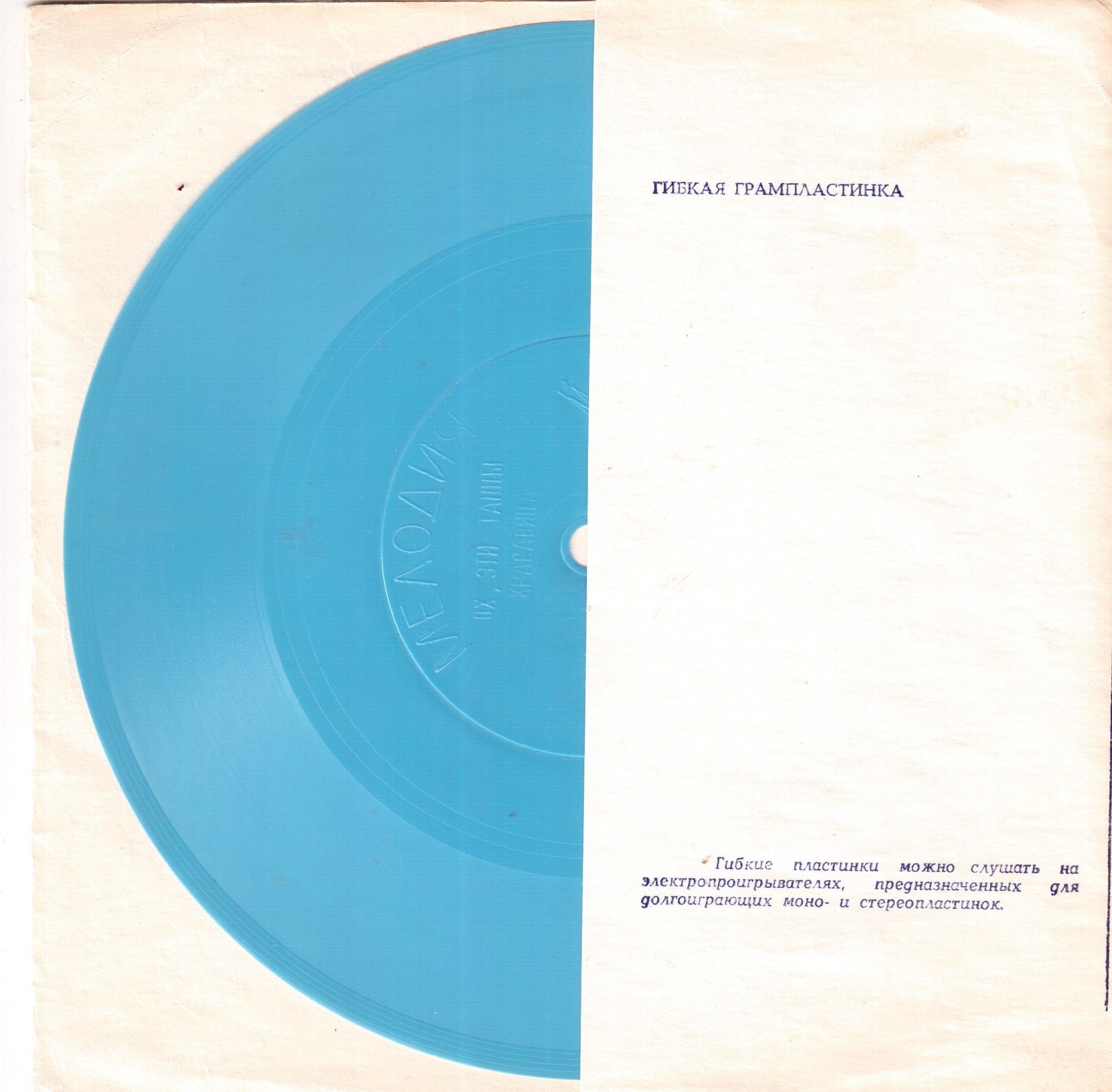 Анатолий Королёв, ВИА «Весёлые голоса». Руководитель Виктор Щепочкин