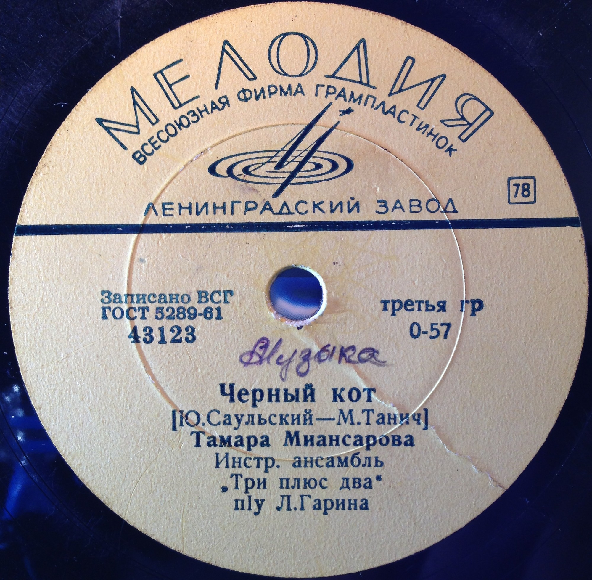 Тамара Миансарова — Чёрный кот / Город спит