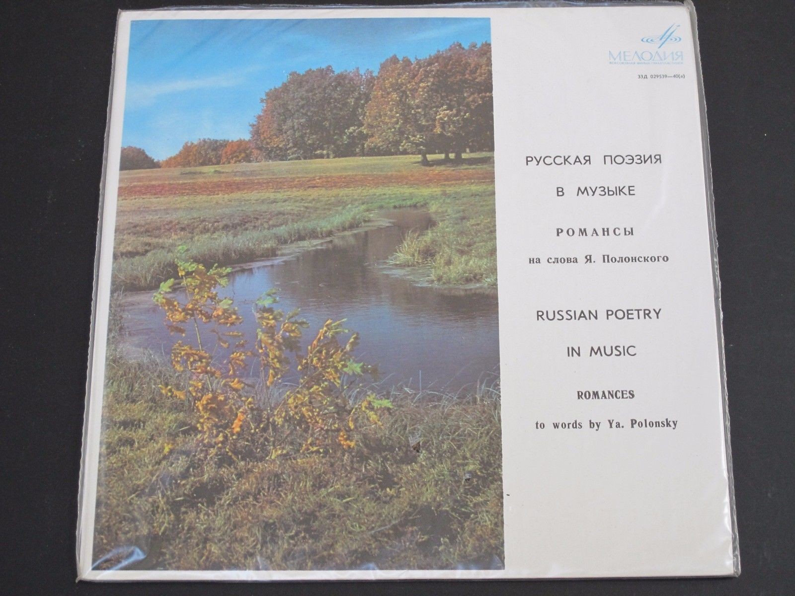 РУССКАЯ ПОЭЗИЯ В МУЗЫКЕ. Романсы на слова Я. Полонского.