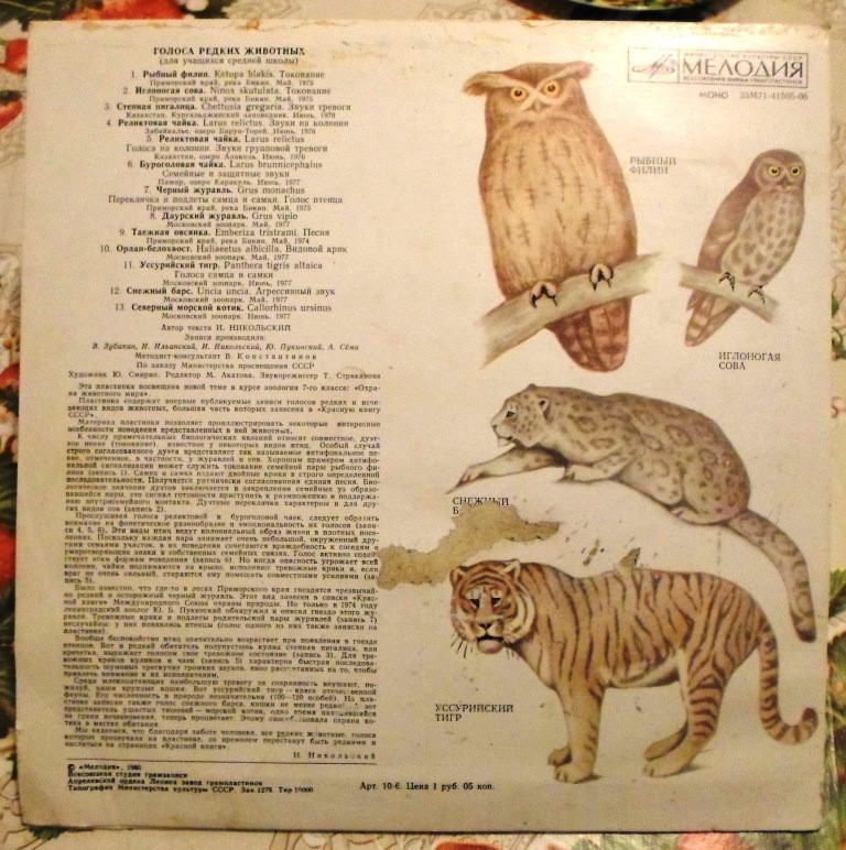 ГОЛОСА РЕДКИХ ЖИВОТНЫХ (для учащихся средней школы). Автор текста И. Никольский; записи производили В. Зубакин, И. Ильинский, И. Никольский, В. Пукинский, А. Сема