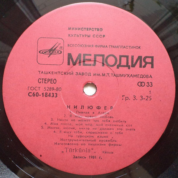 НИЛЮФЕР. Nilüfer