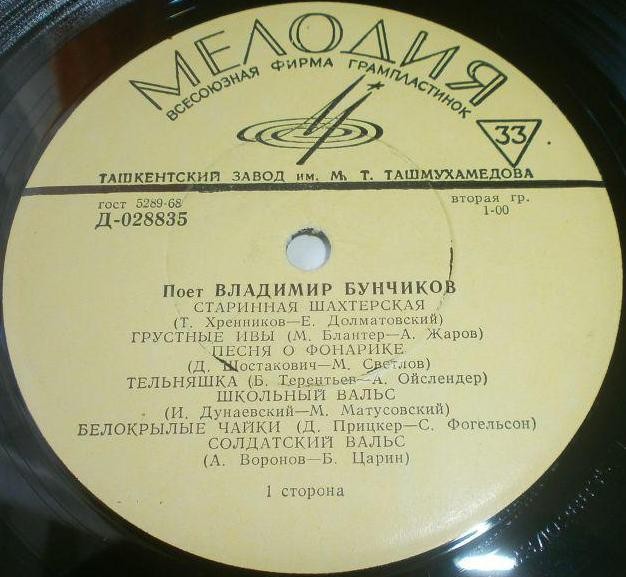 Поет Владимир БУНЧИКОВ