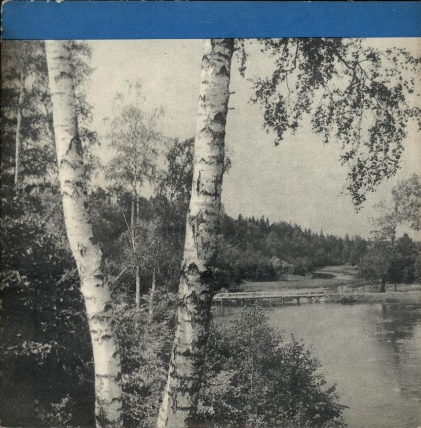 Концерт Зары Долухановой