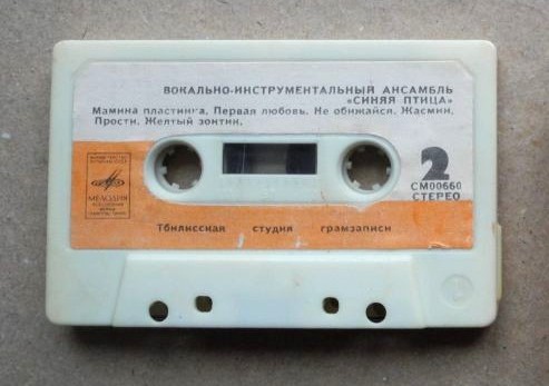 Вокально-инструментальный ансамбль "Синяя птица"