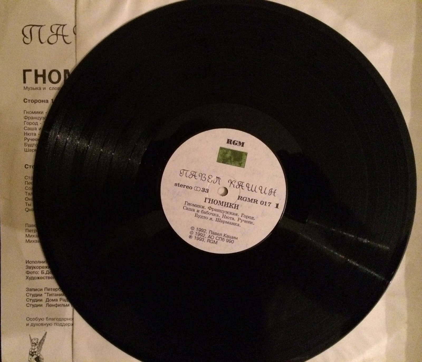 Павел Кашин - Гномики