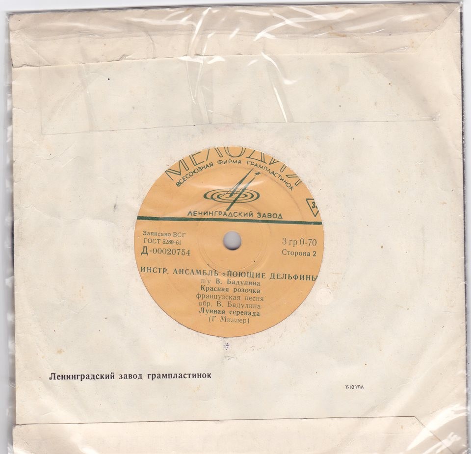 Инструментальный ансамбль «Поющие дельфины» п/у В. Бадулина