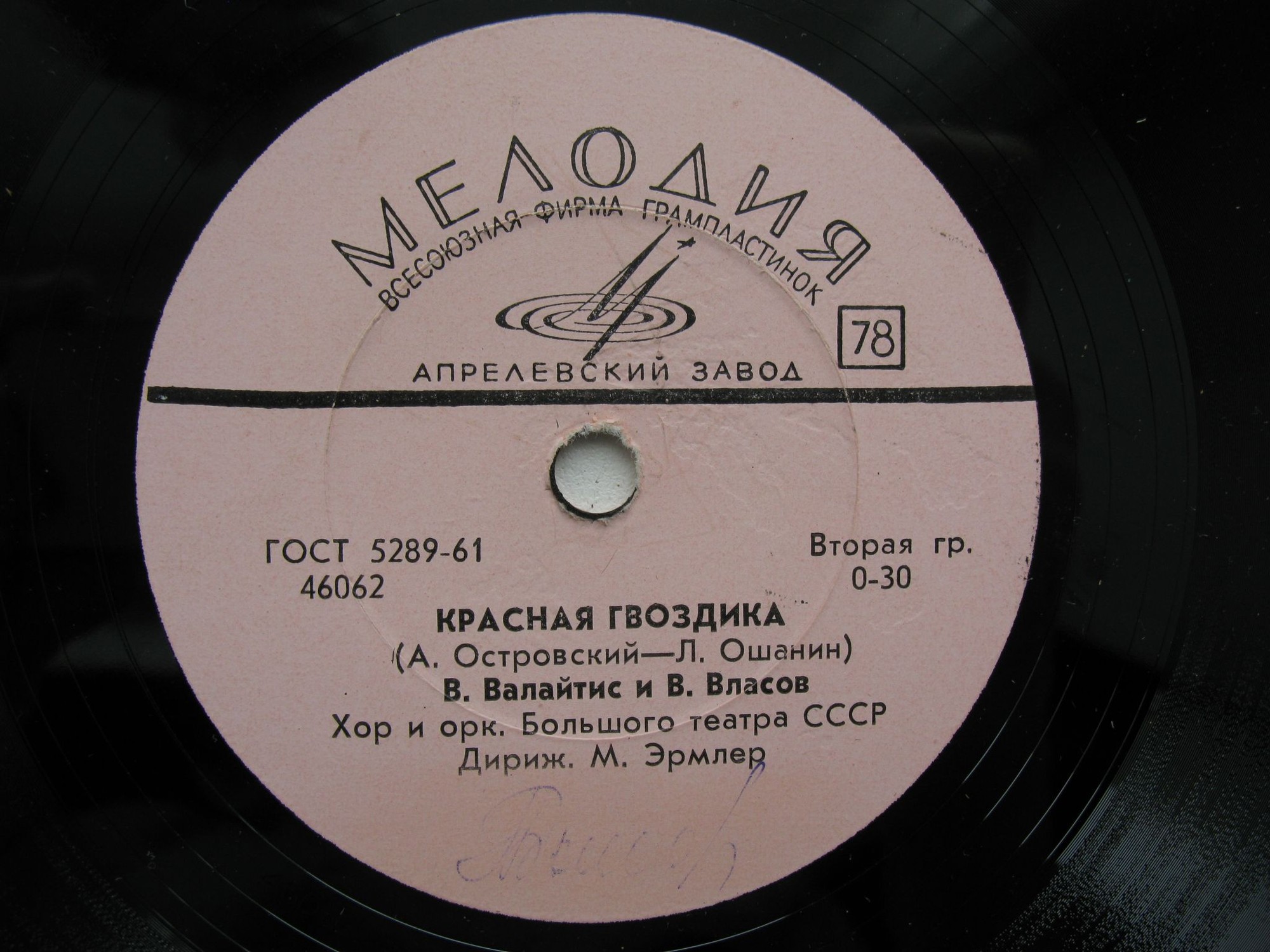 За Советскую власть / Красная гвоздика