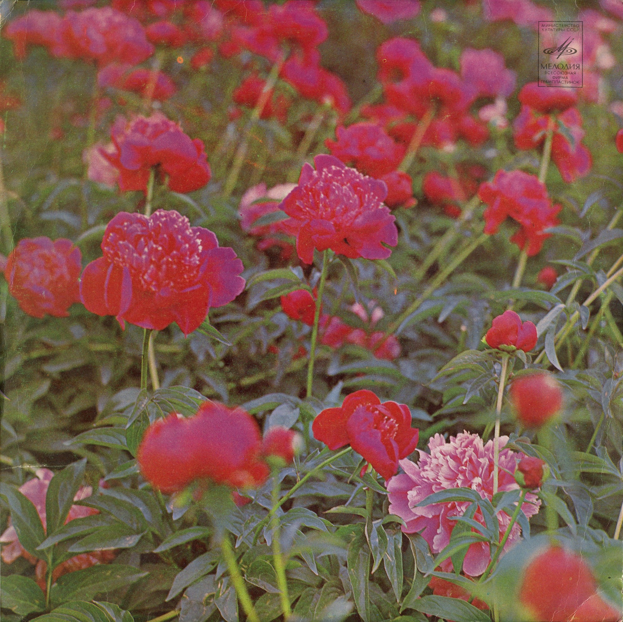 Цикл песен о Кривом Роге