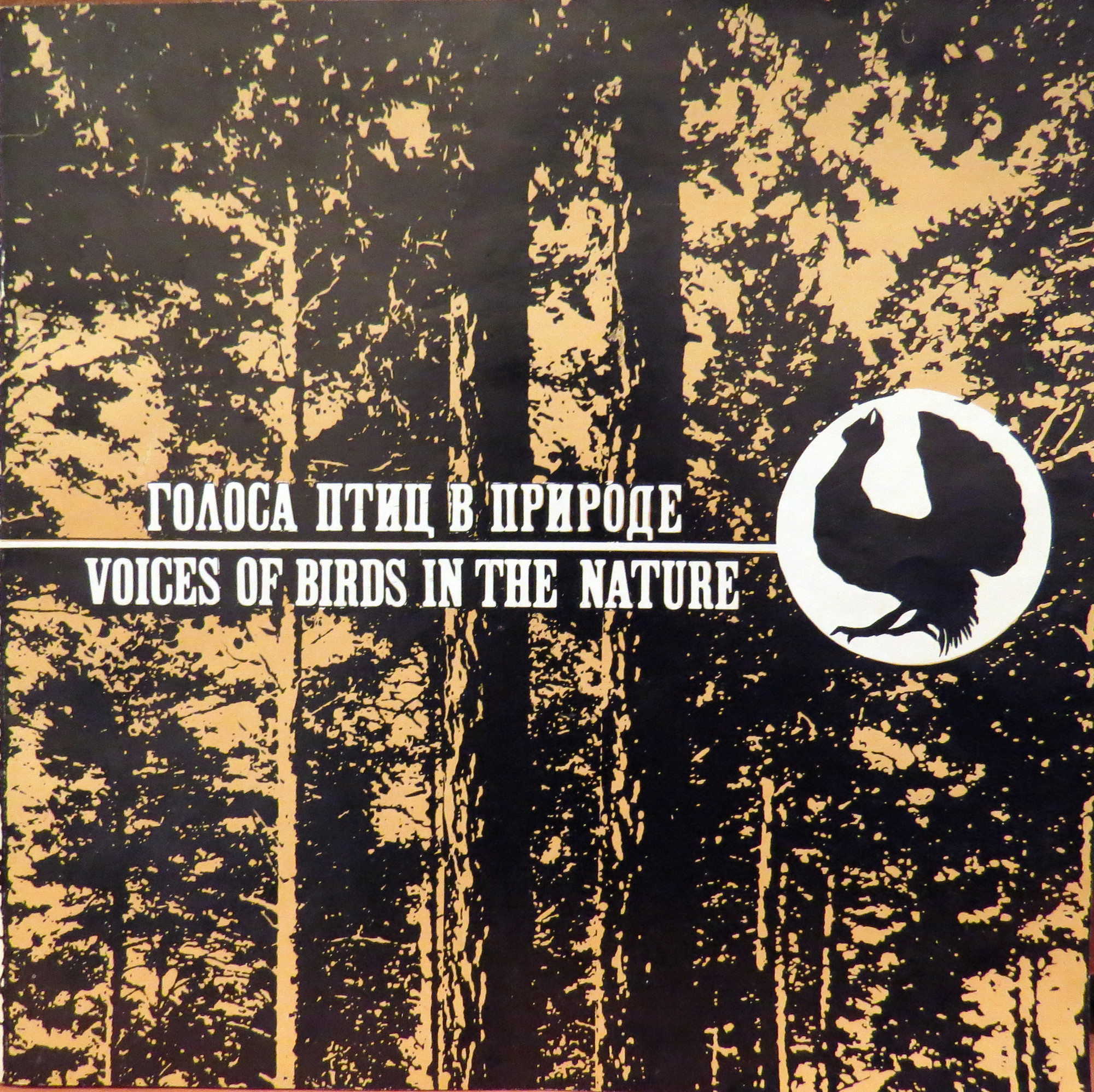 Голоса птиц в природе