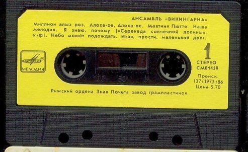 Ансамбль Викингарна