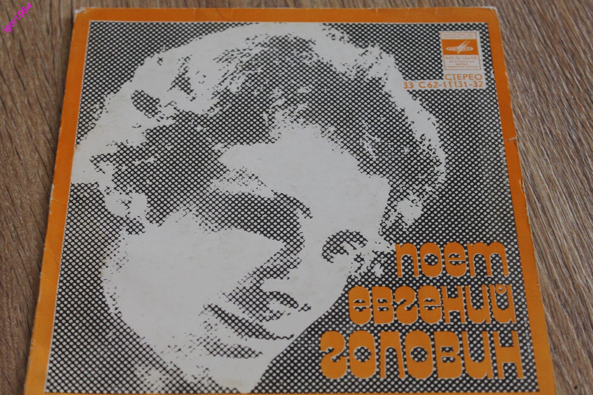Поет Евгений ГОЛОВИН