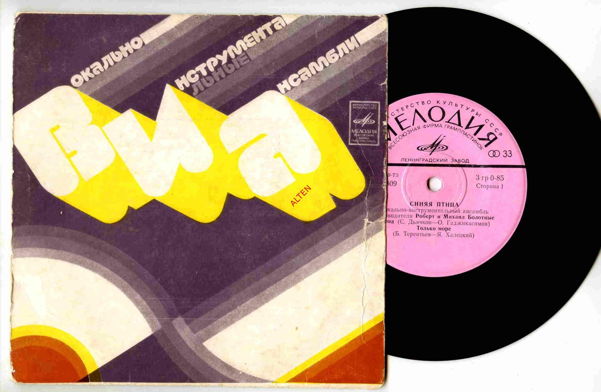 ВИА "Синяя птица"