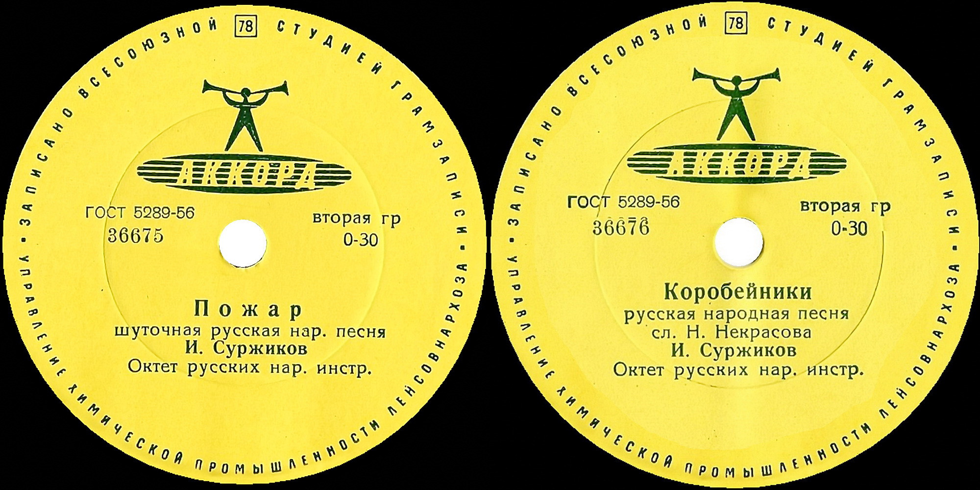 И. Суржиков — Пожар / Коробейники