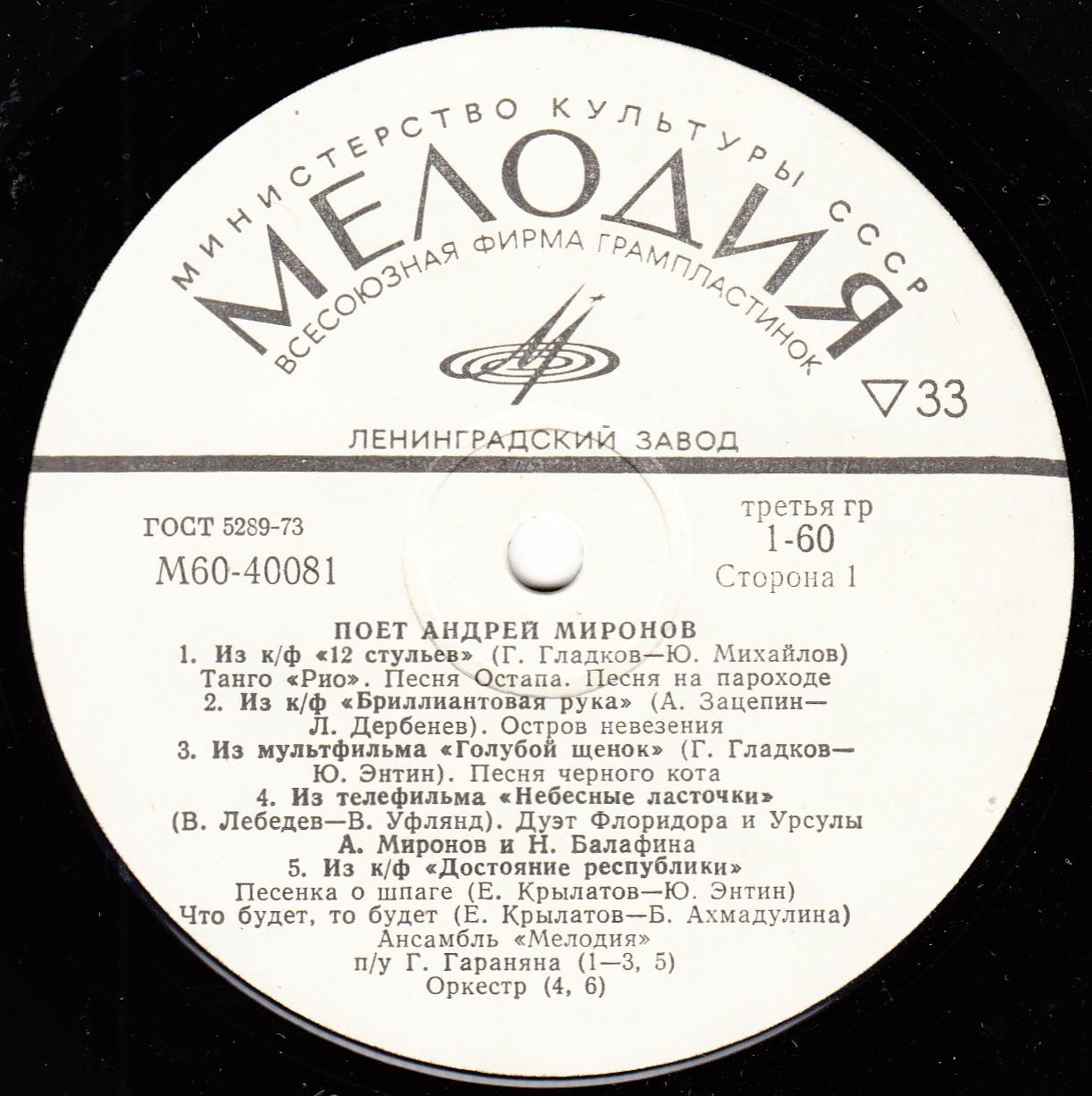 Поет Андрей Миронов