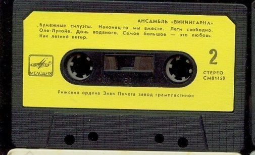 Ансамбль Викингарна