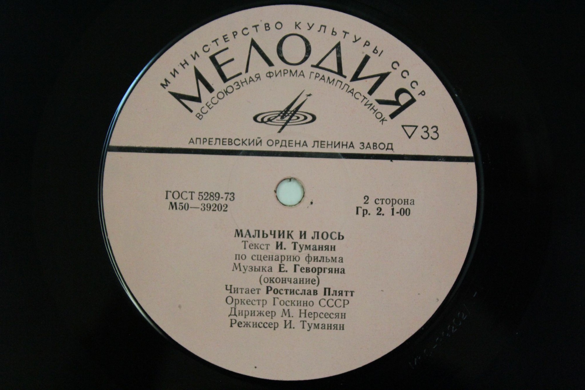 МАЛЬЧИК И ЛОСЬ