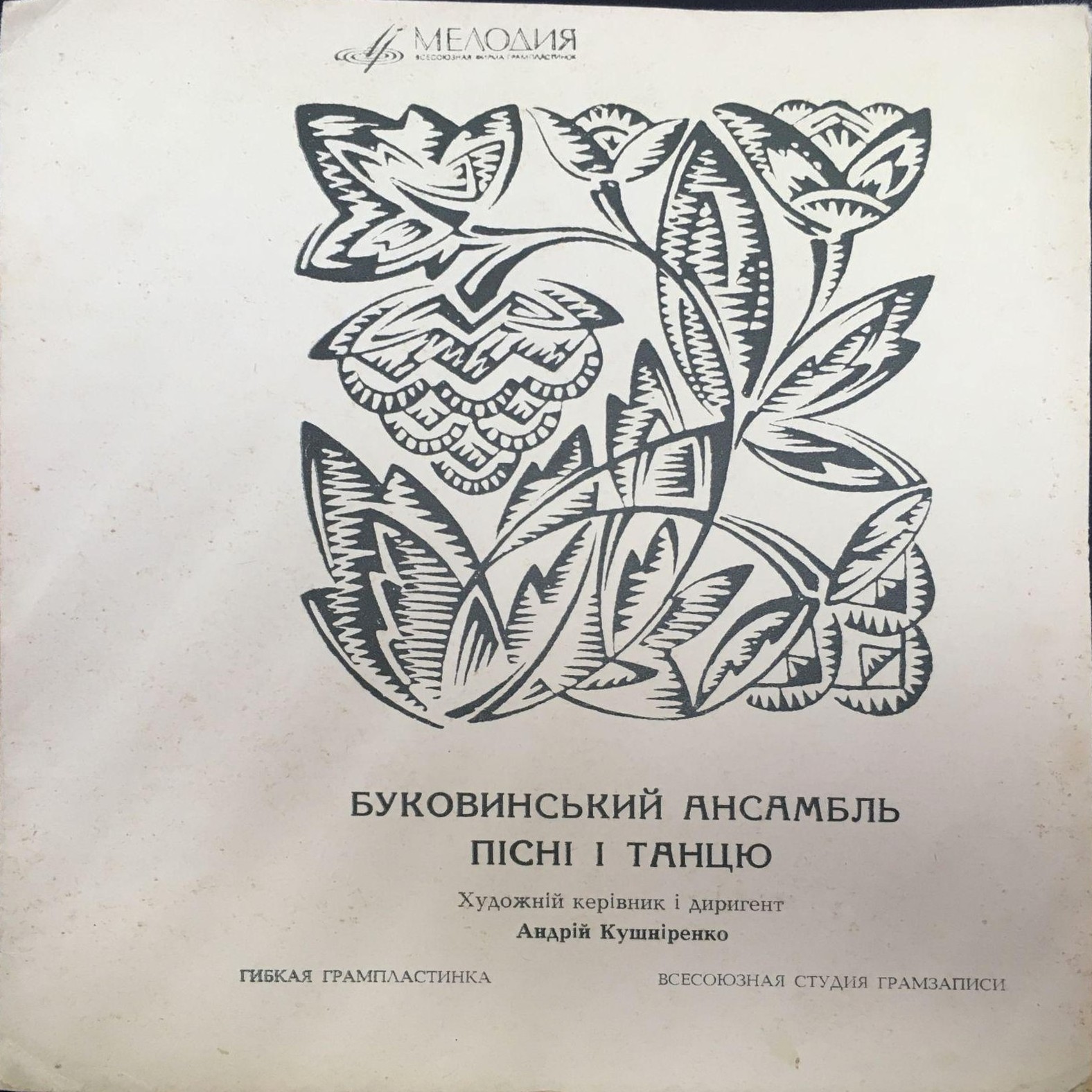 Буковинський ансамбль пiснi i танцю
