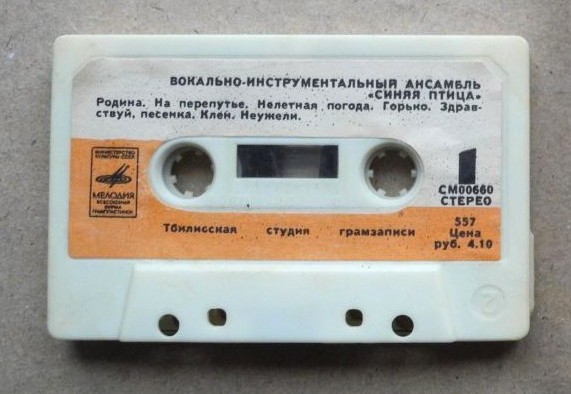 Вокально-инструментальный ансамбль "Синяя птица"