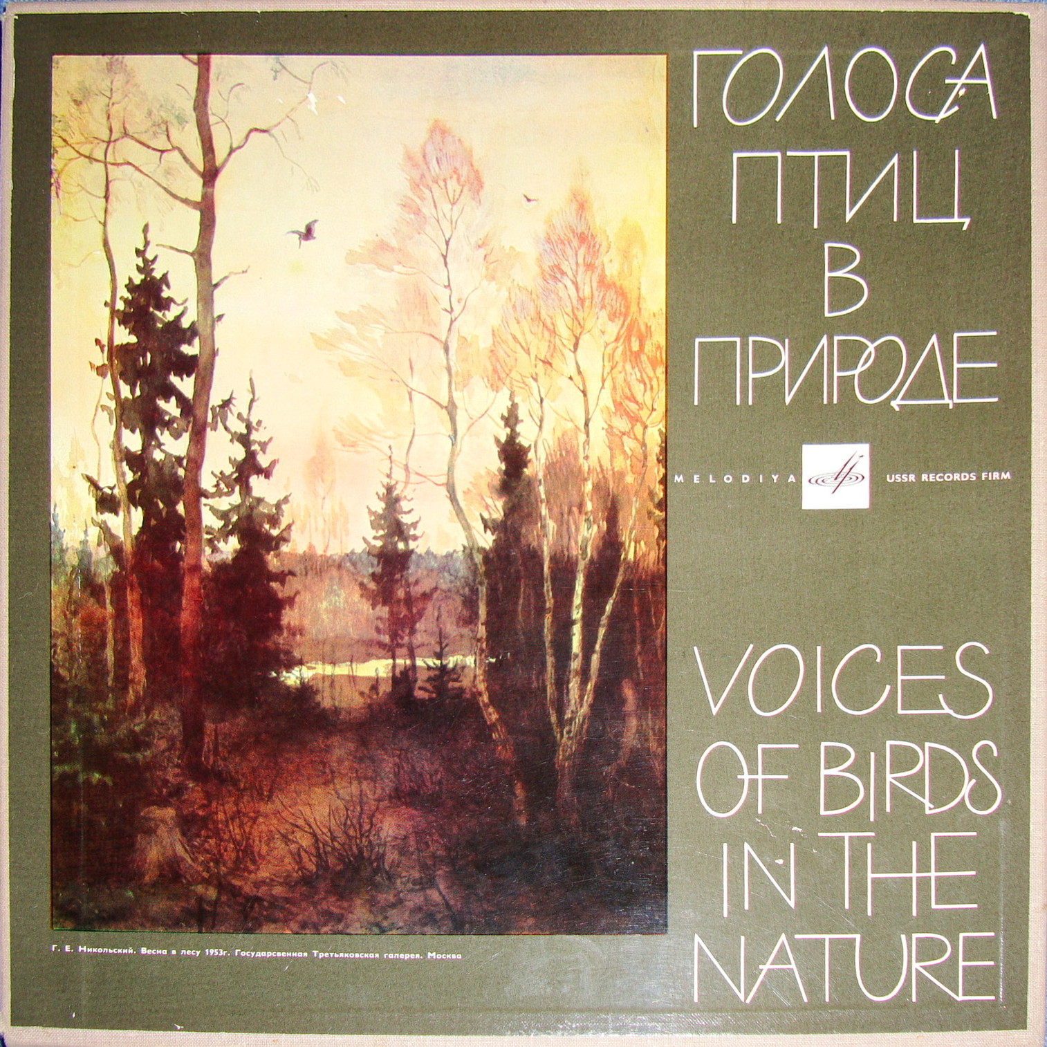 Голоса птиц в природе