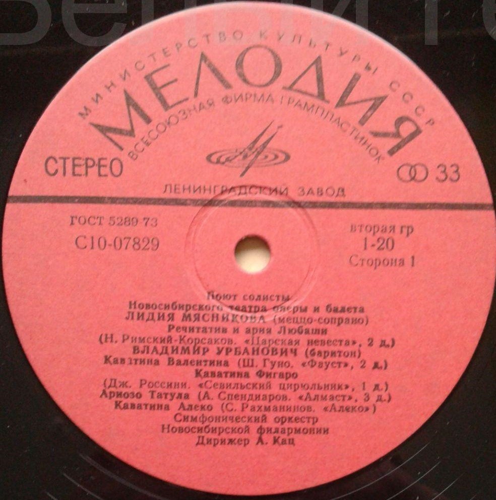 ПОЮТ СОЛИСТЫ НОВОСИБИРСКОГО ТЕАТРА ОПЕРЫ И БАЛЕТА