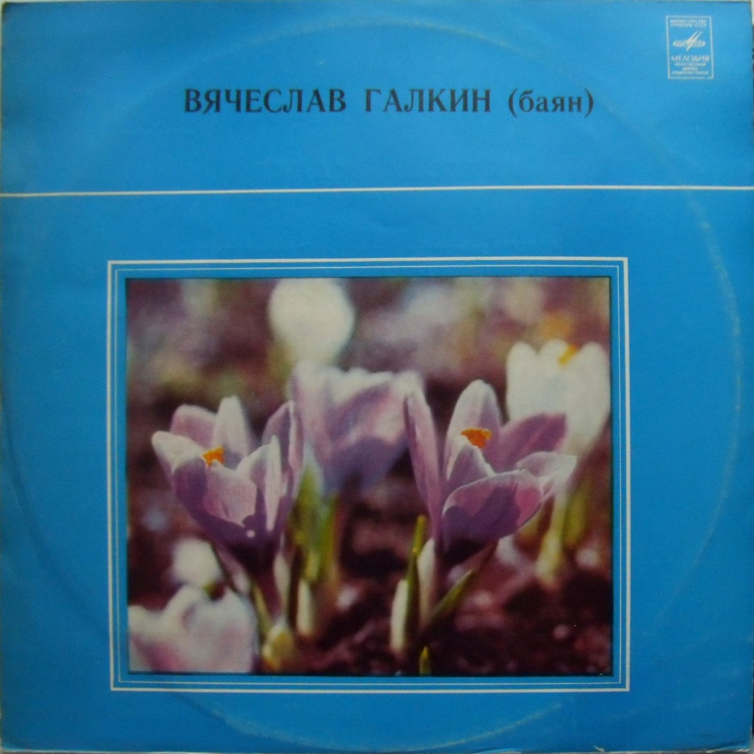 Вячеслав Галкин (баян)