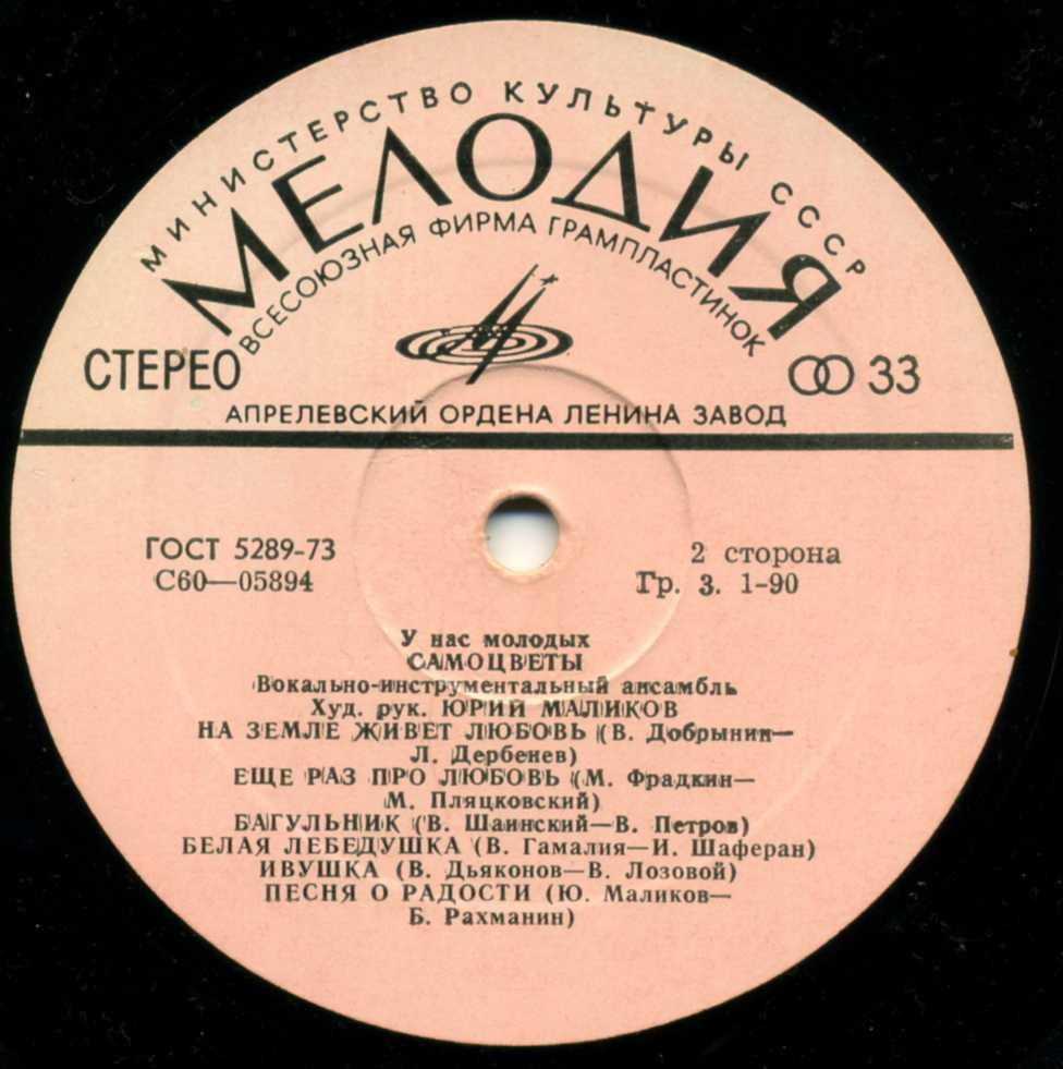 ВИА «Самоцветы». У нас, молодых