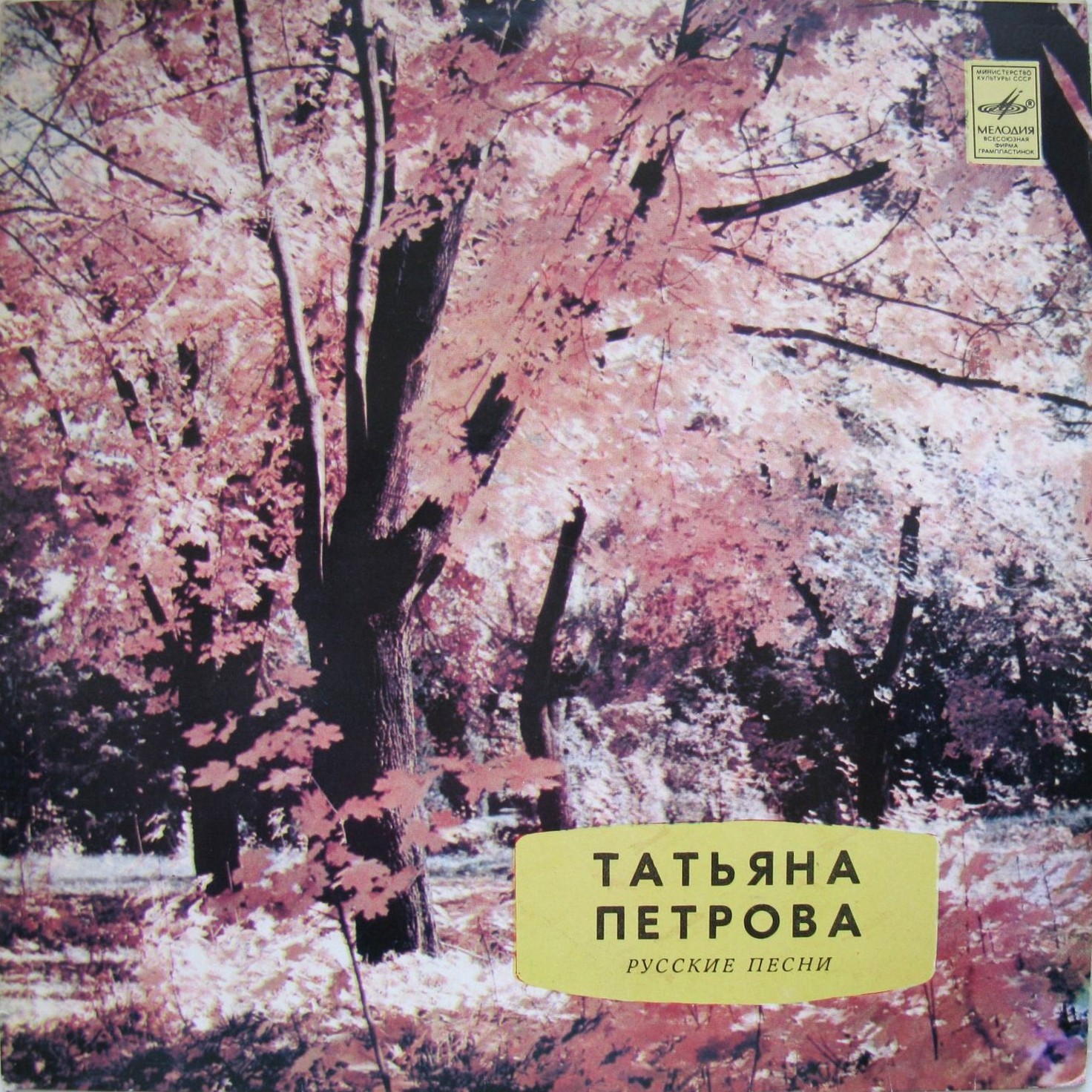 Татьяна Петрова - Русские песни