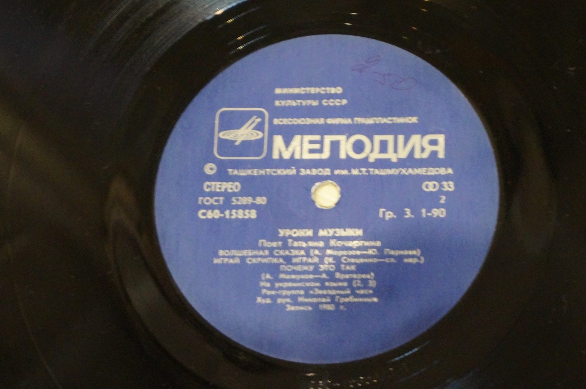 Уроки музыки. Поет Татьяна Кочергина