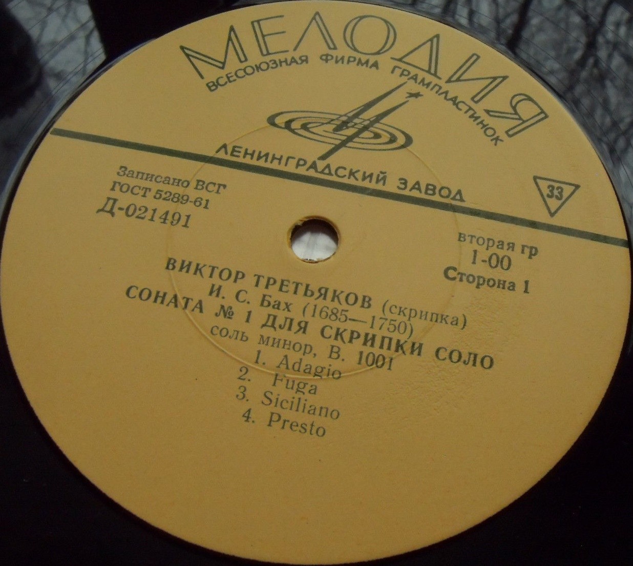 Виктор ТРЕТЬЯКОВ (скрипка)