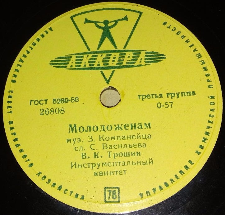 Молодожёнам / Солнечный день