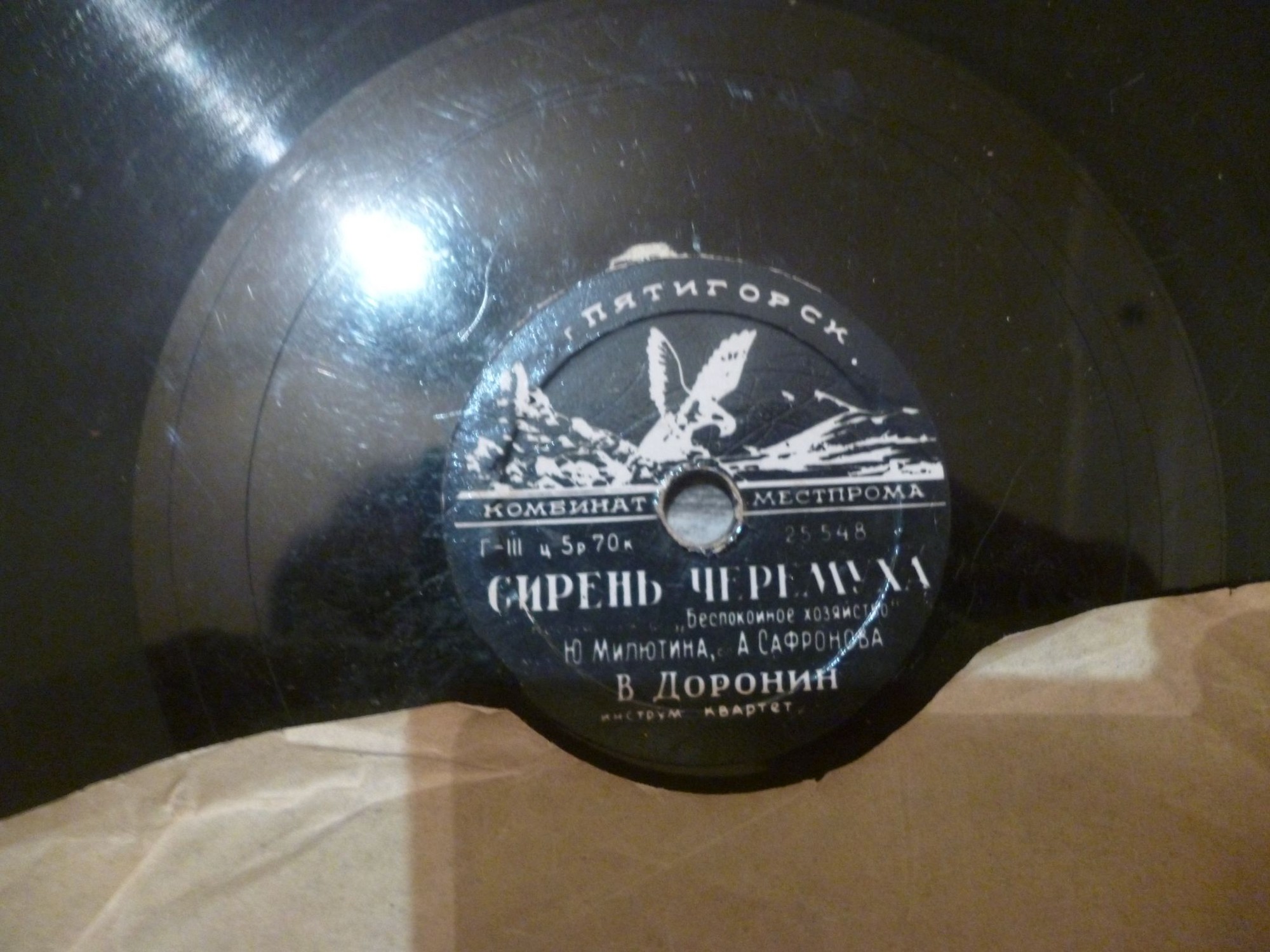 Экспромт / Сирень-черемуха