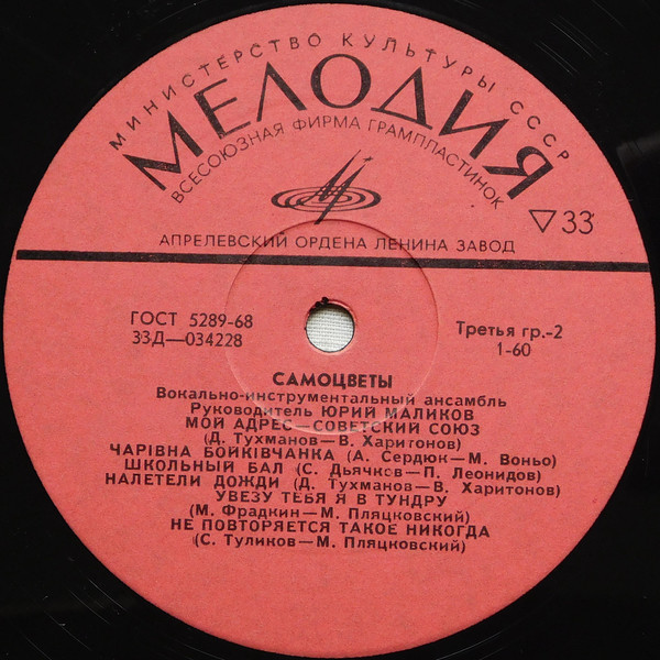 Вокально-инструментальный ансамбль «САМОЦВЕТЫ», худ. руководитель Ю. Маликов