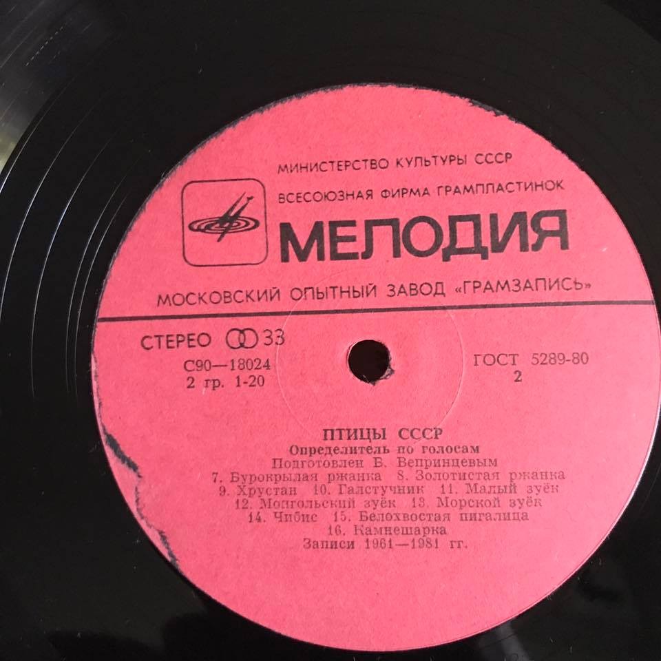 ПТИЦЫ СССР. Определитель по голосам (подготовлен Б. Вепринцевым)