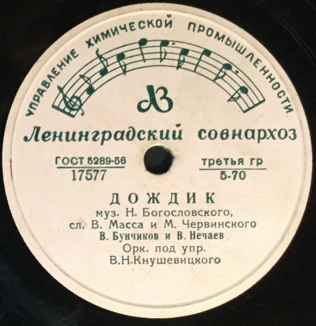 Дождик / Белокрылые чайки