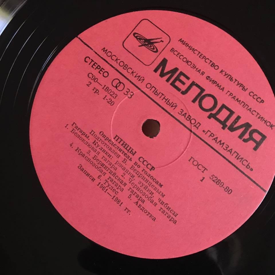 ПТИЦЫ СССР. Определитель по голосам (подготовлен Б. Вепринцевым)