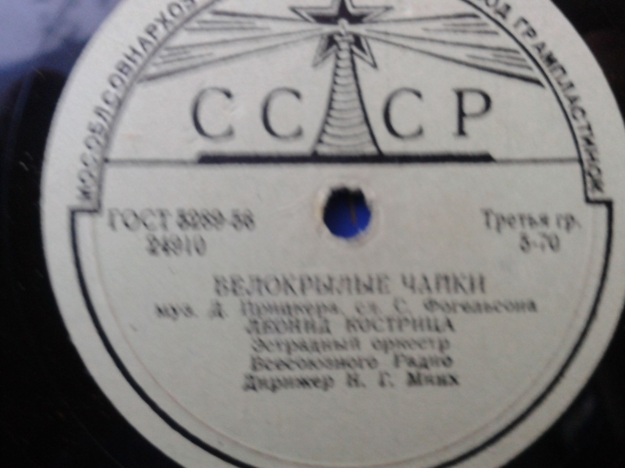 Л. Кострица — Мама / Белокрылые чайки