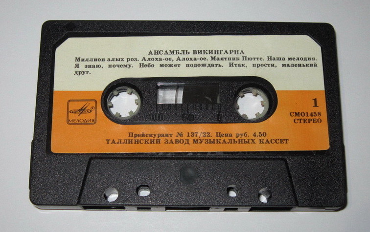 Ансамбль Викингарна