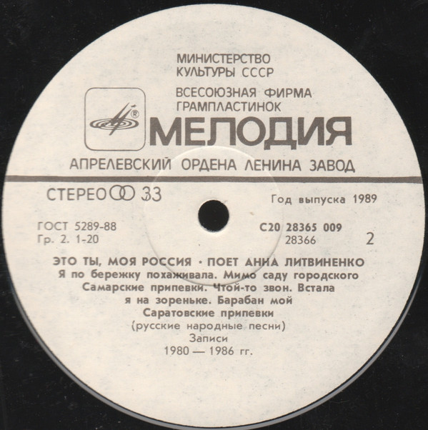 ЛИТВИНЕНКО Анна. «Это ты, моя Россия».