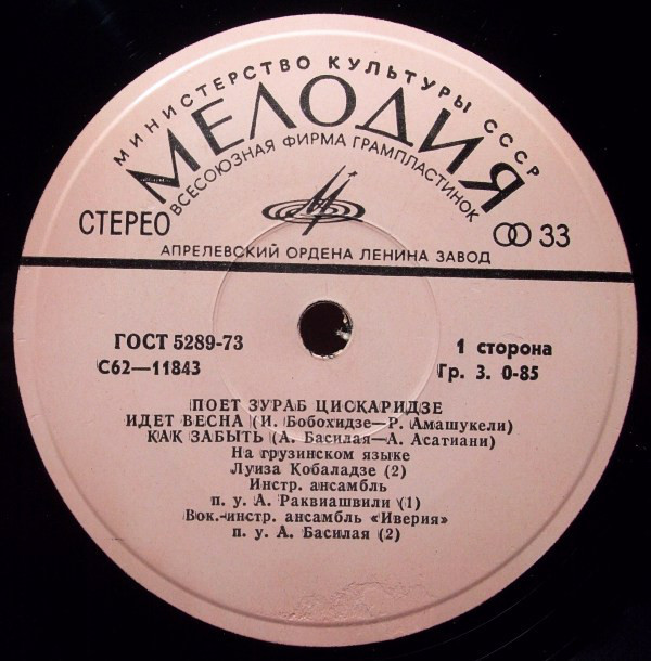 Поет Зураб ЦИСКАРИДЗЕ