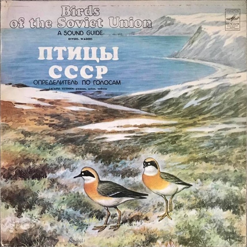 ПТИЦЫ СССР. Определитель по голосам (подготовлен Б. Вепринцевым)