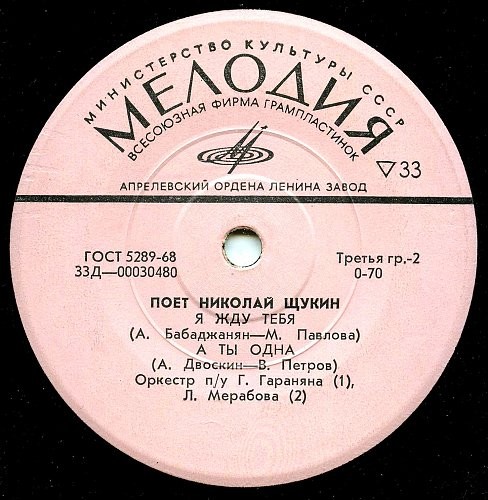 Поет Николай Щукин